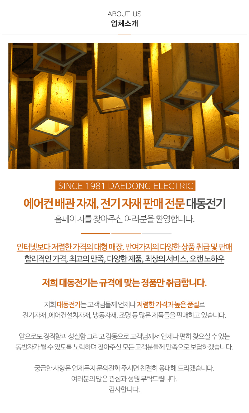 대동전기_내용